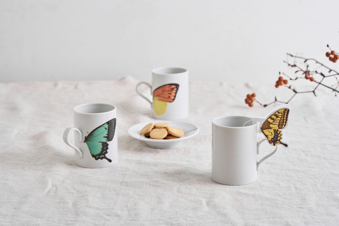 バタフライギフトセット　1