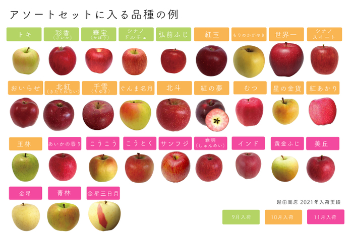 アソートセットに入る品種の例