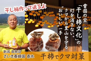 【南魚沼発・クマ被害緊急対策】警戒警報下の里山を救う：放置柿を「雪国の宝」干し柿へ再生する挑戦【クラウドファンディング】