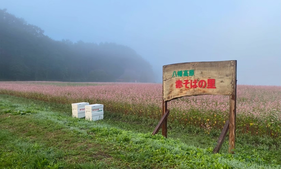 赤そばの里看板