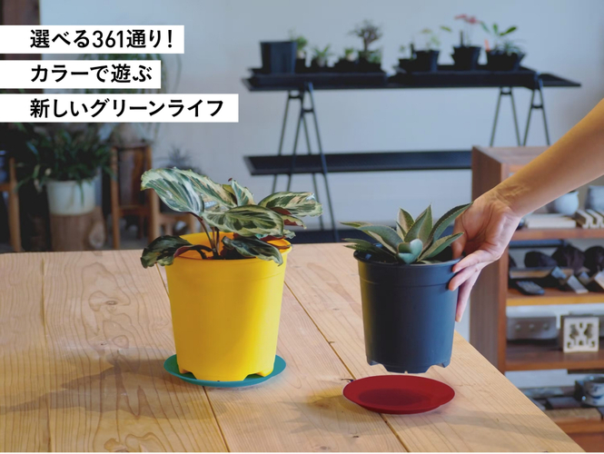 サブサムネイル