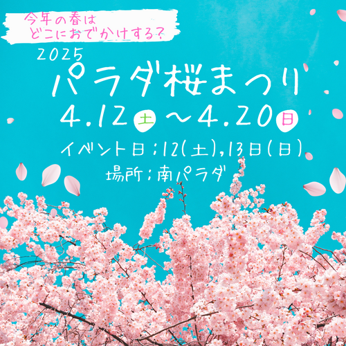 パラダ桜まつりのお知らせ