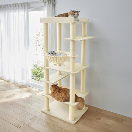 大きな天井ベッドのハイタワー