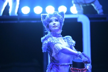 猫好き、猫オタ大満足の全く新しい猫のミュージカル『CATsLa』（キャッツら）が上演決定！　収益の一部は猫の保護活動へ