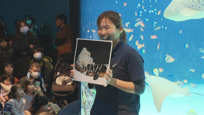 スタッフ　金丸 仁美さん