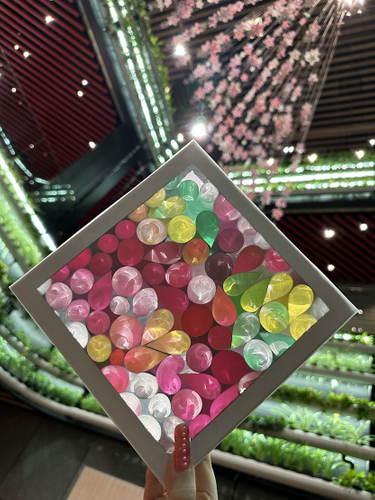 光の箱完成イメージ