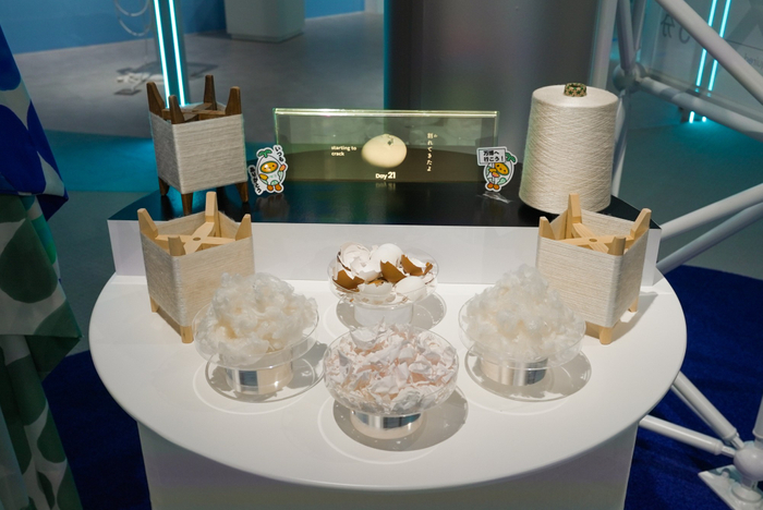 出発原料の卵殻膜とオボヴェールの綿や糸の実物を展示