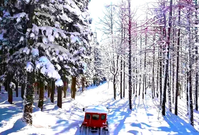 雪上車アドベンチャーライド(雪遊びパーク)