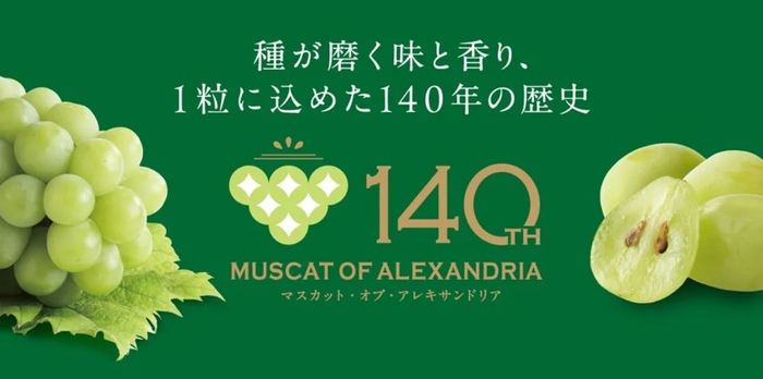 １粒に込めた140年の歴史_マスカット・オブ・アレキサンドリア_岡山