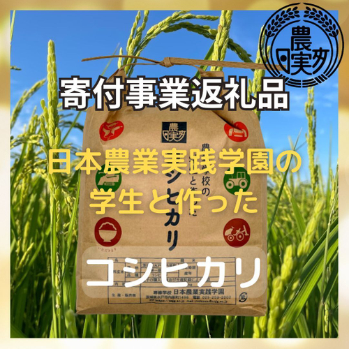 返礼品一例:日本農業実践学園の学生と作ったコシヒカリ