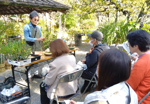 菊の育て方教室（過去開催の様子）