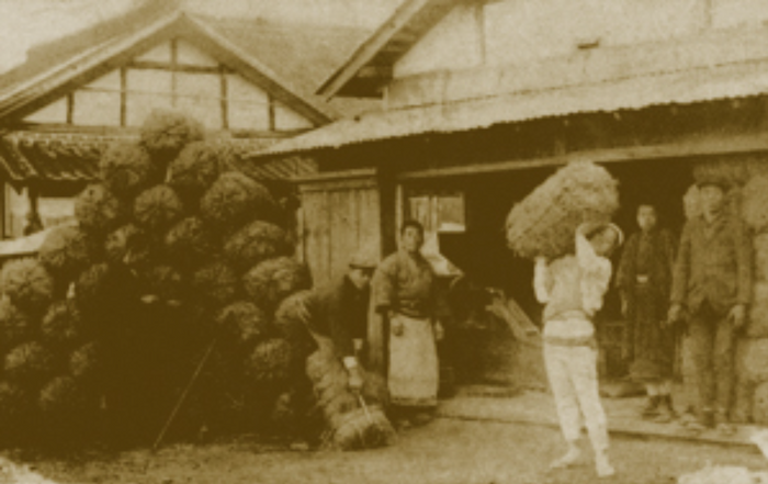 1909(明治42)年頃の吉崎酒造