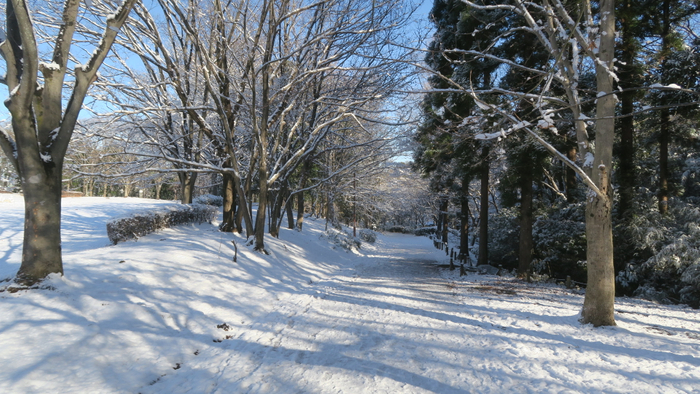 昨年開催時の園内の景色