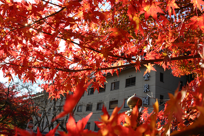 四季折々の景色:紅葉