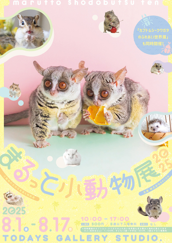 まるっと小動物展 キービジュアル
