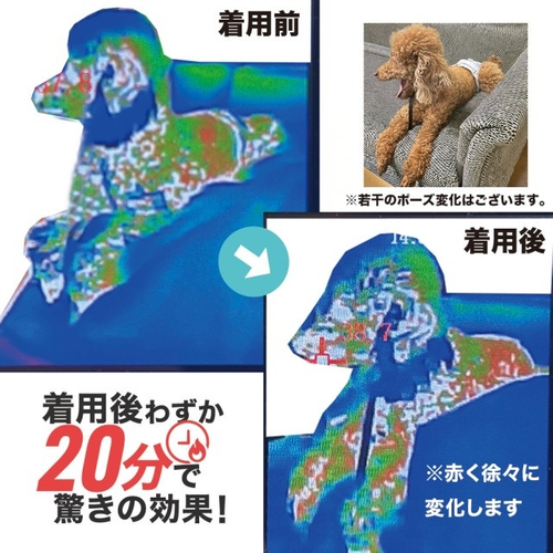 着用後の変化