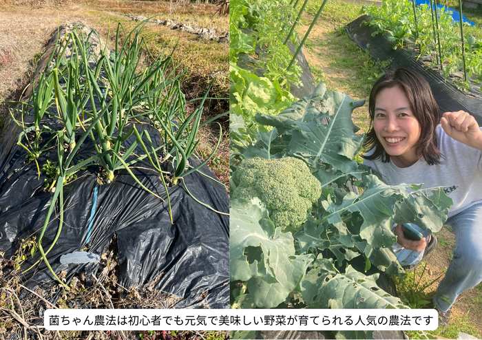 菌ちゃん農法であれば野菜作りの過程が山の整備にもなるため、獣害対策にも繋がります。