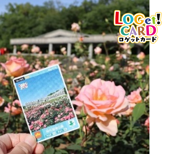 LOGet!CARD（ロゲットカード）イメージ