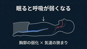 医学が言わない──多くの人は眠りながら体を衰弱させているという"深刻な構造"　睡眠中に呼吸の質が低下する因果を、体の構造から明らかにする。シリーズ第1回