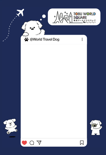 オリジナルクリアファイル(A6サイズ)デザイン　(イメージ)