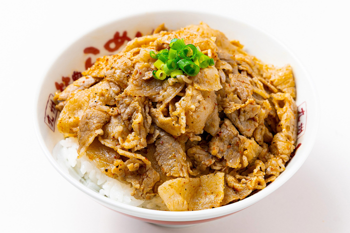 豚丼　標準価格：580円（税込）