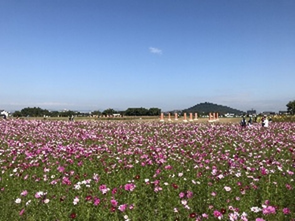 藤原宮跡