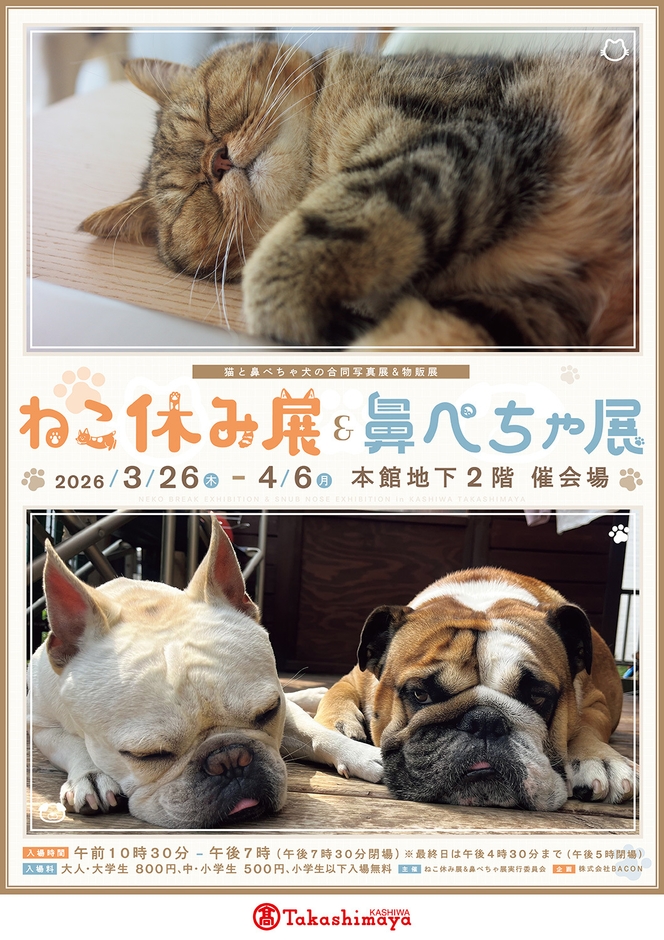 ねこ休み展&鼻ぺちゃ展 キービジュアル(縦)