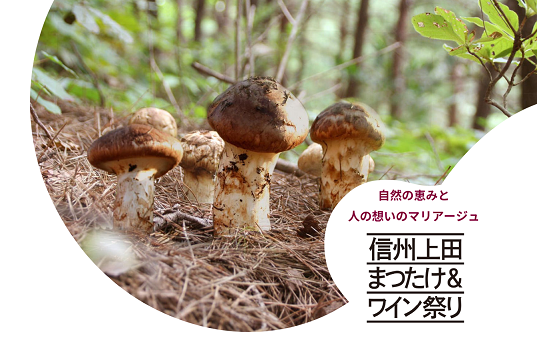 信州上田まつたけ＆ワイン祭り