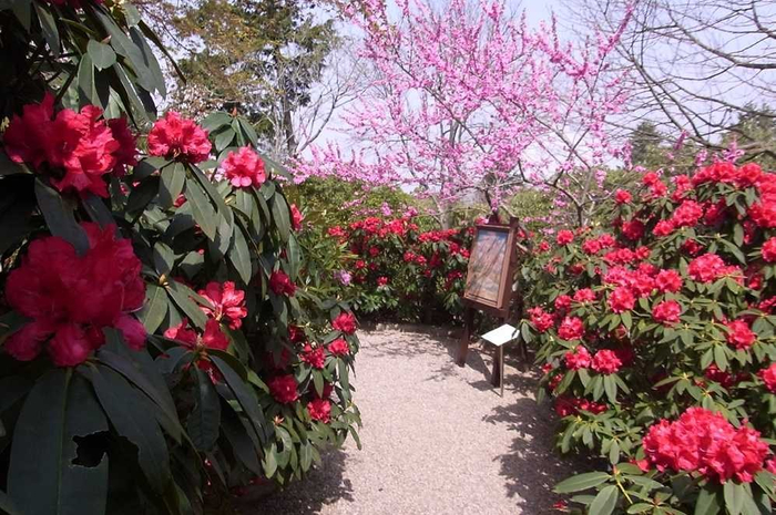 ③ こもれびの庭