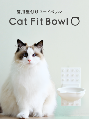 Cat Fit Bowl