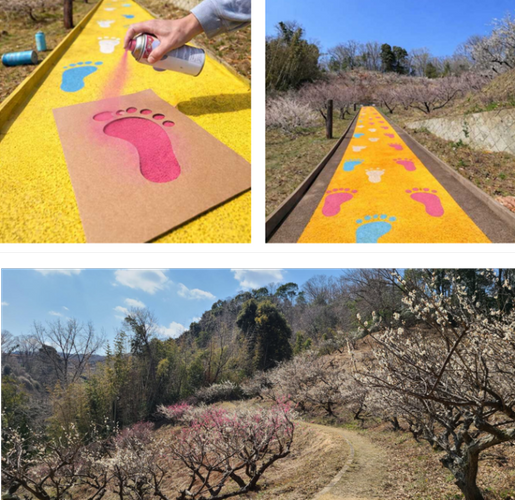 園路に足型を描くイベント「フトプリ」のイメージ（上）・黒谷公園の梅林（下）