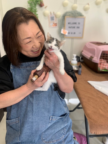 にゃんこのおきゅう