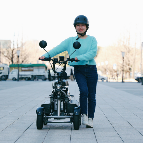 ELEMOs4 REBORNイメージ(2)