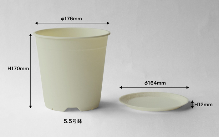 鉢・受け皿サイズ(3)