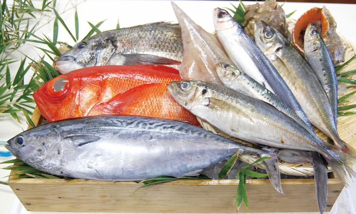 前どれ鮮魚