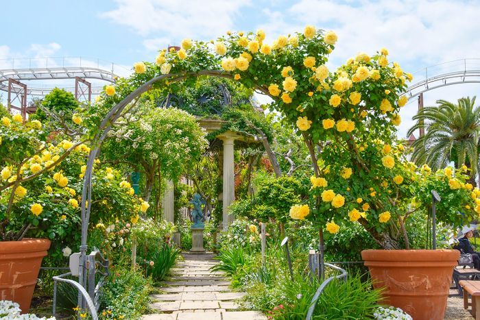 (2025年5月9日撮影)