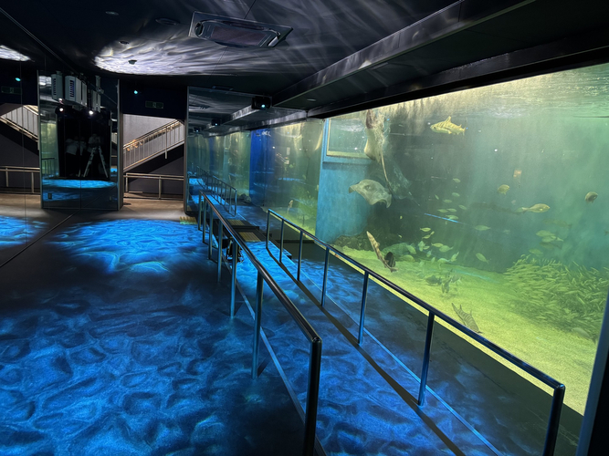 １階　大水槽展示室