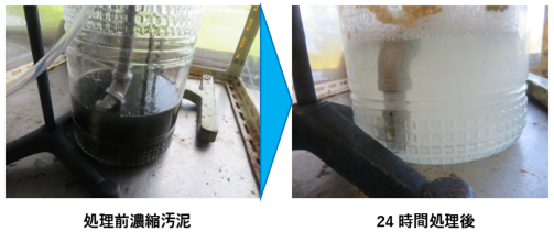 画像(1)汚泥処理前後写真