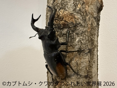 ふれあい体験(2)