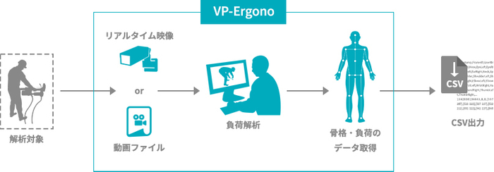 VP-Ergonoとは