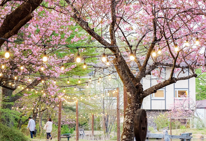 みやぎ蔵王・遠刈田温泉 ゆと森俱楽部