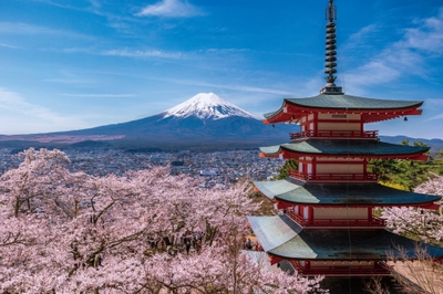 富士吉田市富士山課 提供