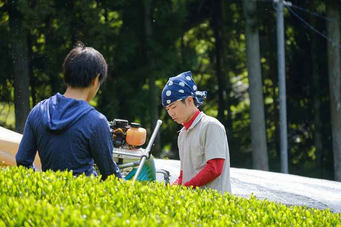 茶畑から食卓まで