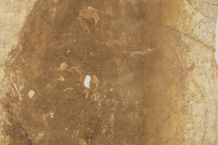 【画像2】青龍図像の可視光写真　2023年11 月