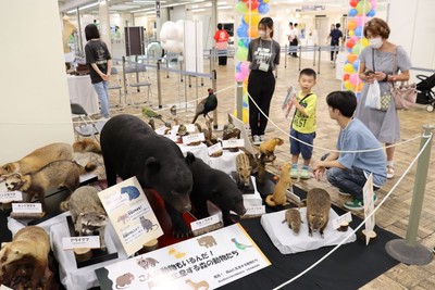 発見!岡山・池田動物園の動物たち
