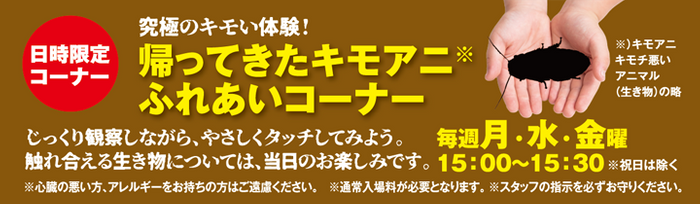 ふれあいコーナー