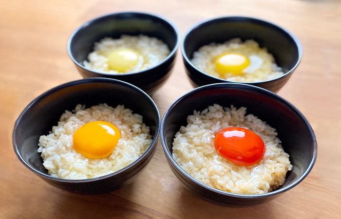 味・香り・色も様々なブランドたまごを食べ比べ