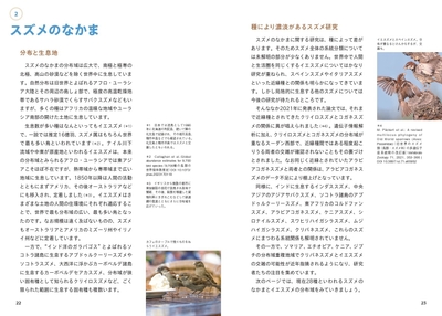 スズメのなかま