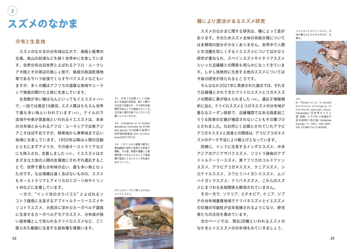 スズメのなかま