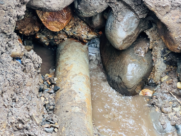 ＜画像：2023年　栃木県内にて＞